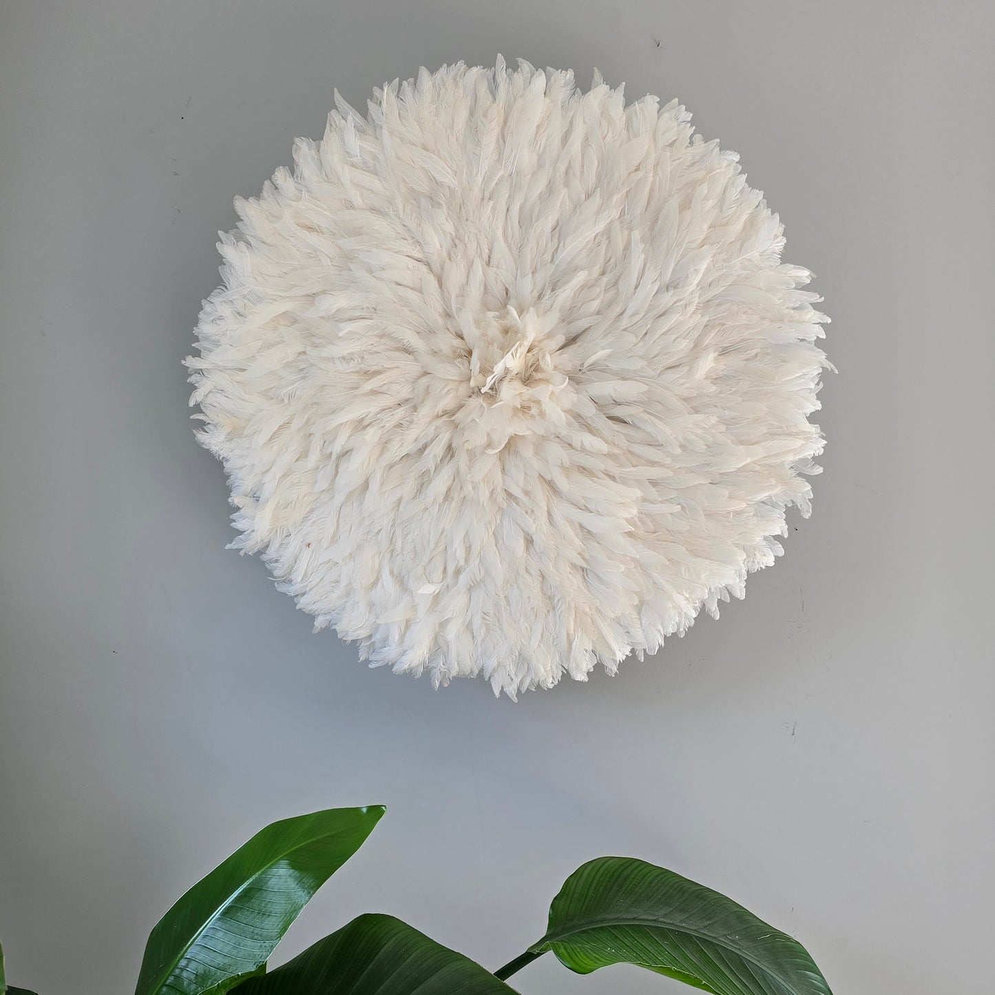 Authentic juju hat cream