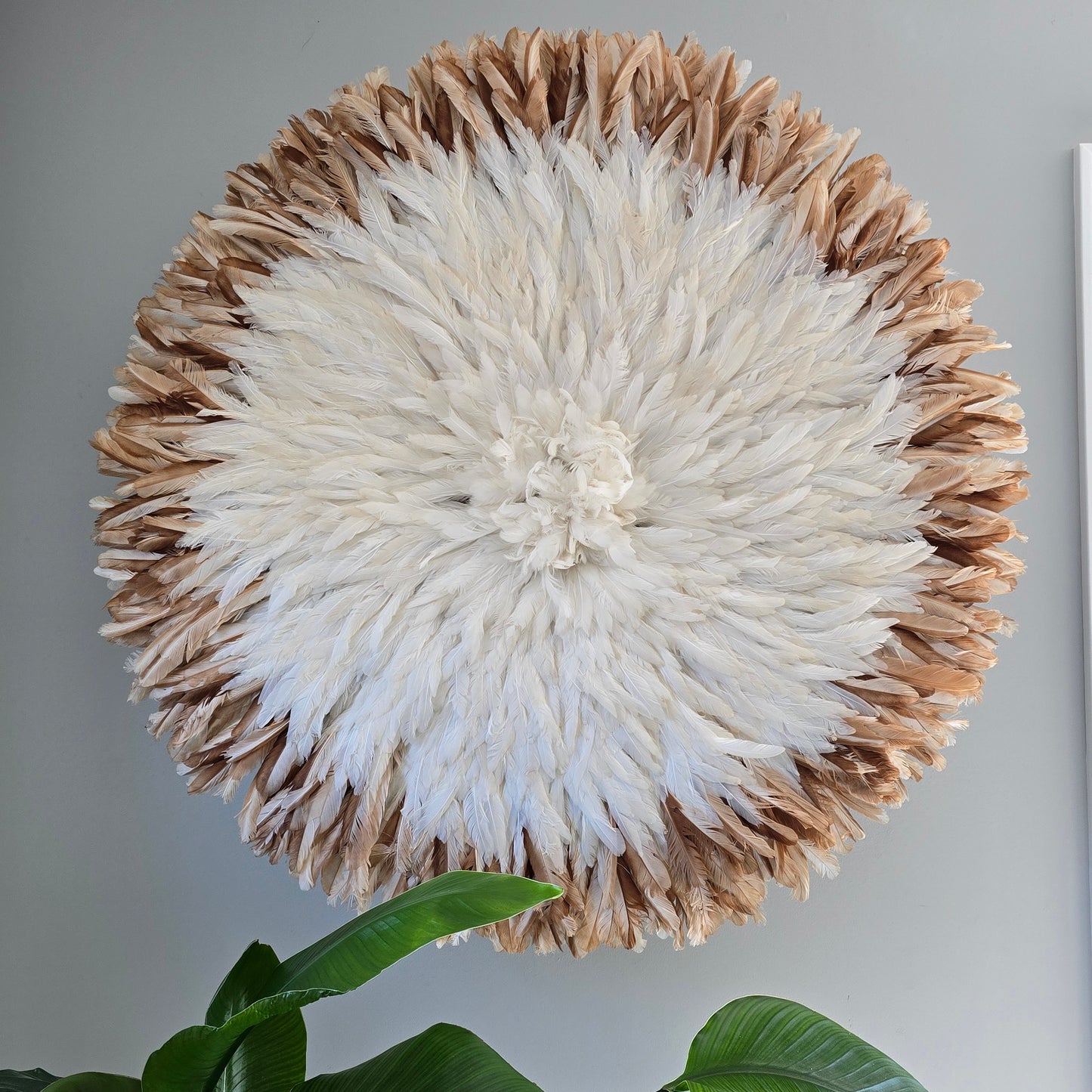 Authentic juju hat cream & natural brown