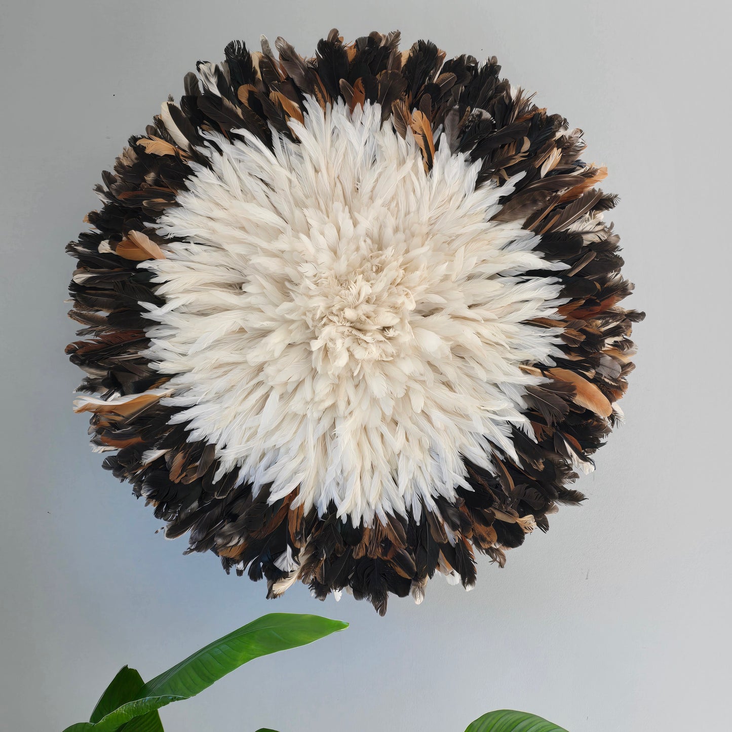 Authentic juju hat natural black &cream 31"