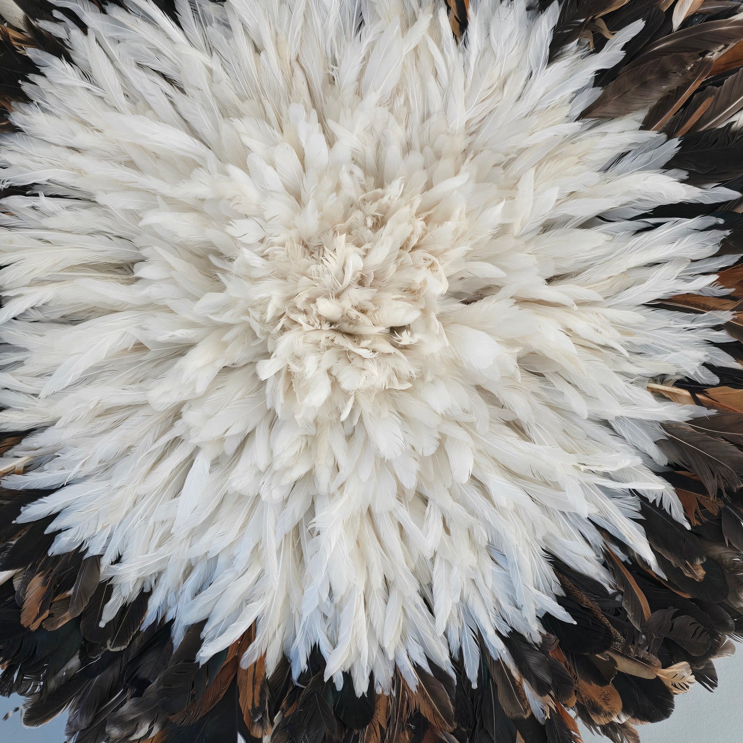 Authentic juju hat natural black &cream 31"