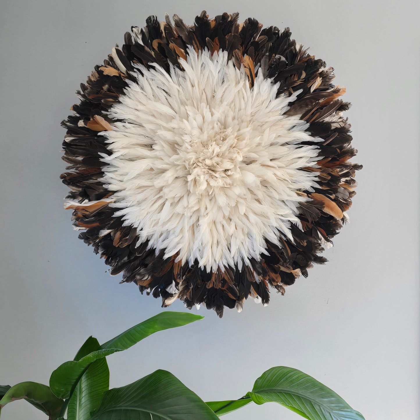 Authentic juju hat natural black &cream 31"