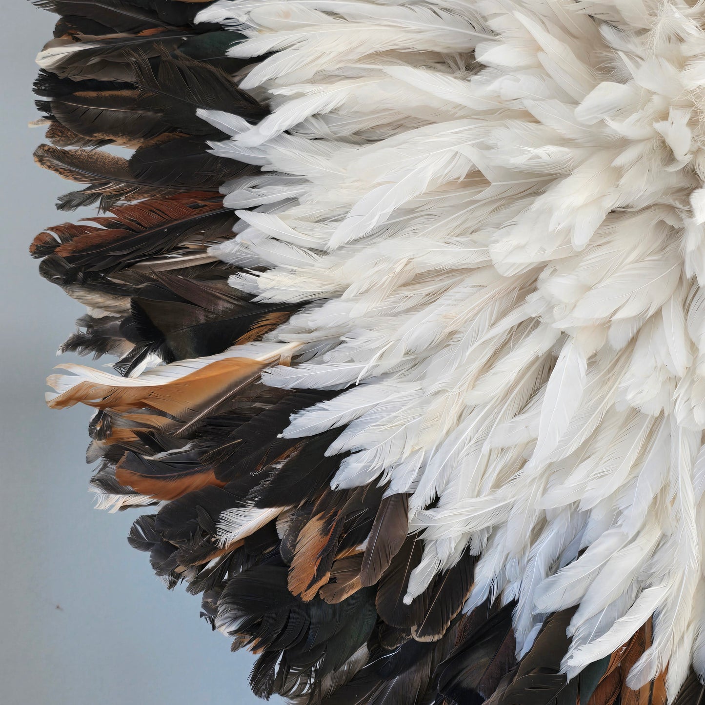 Authentic juju hat natural black &cream 31"